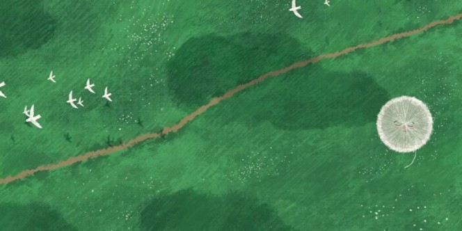 قاصدک و گل های افتابگردان